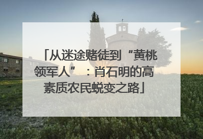 从迷途赌徒到“黄桃领军人”：肖石明的高素质农民蜕变之路